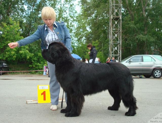 Фотография № 44527