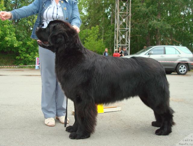 Фотография № 44528