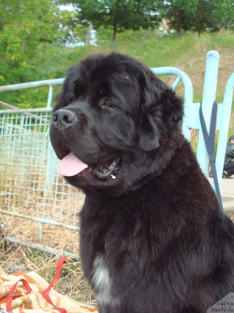 Фотография № 44530