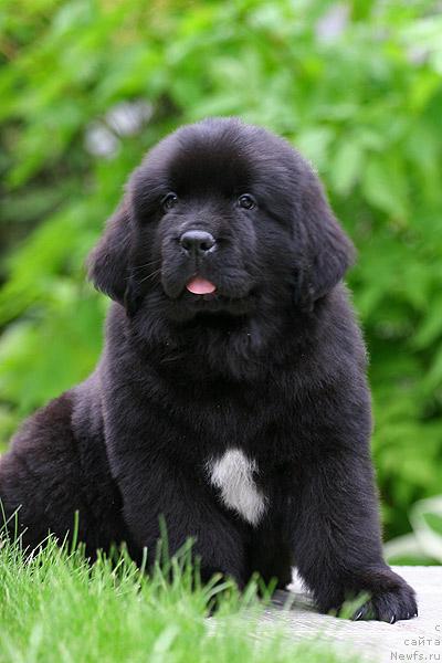 Фотография № 44533