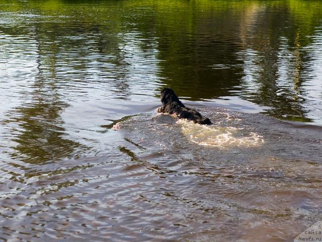 Фотография № 44537