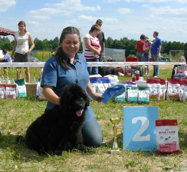 Фотография № 44647