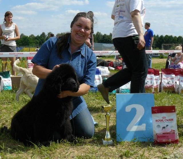 Фотография № 44649