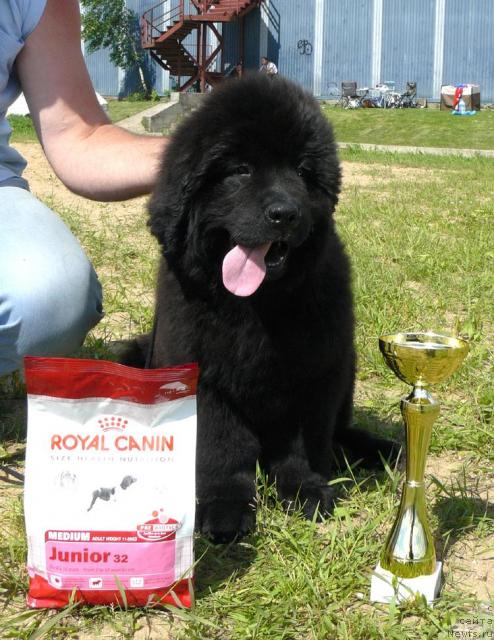 Фотография № 44656