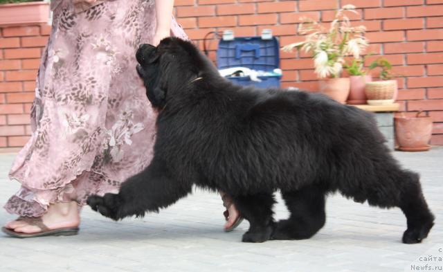 Фото: АК Максим