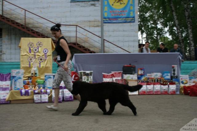 Фотография № 44680