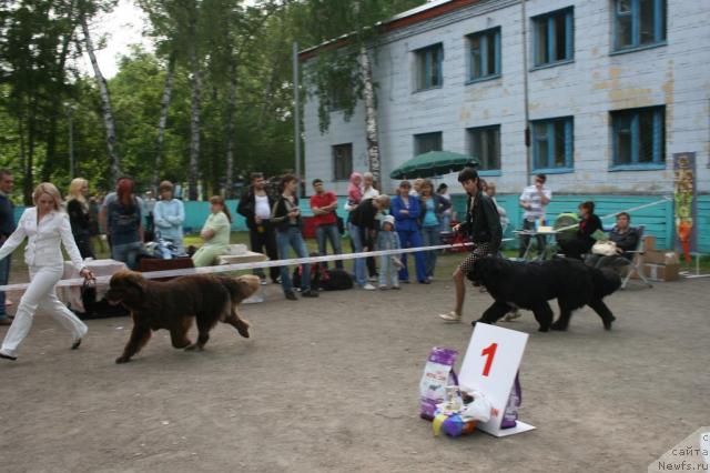 Фотография № 44681