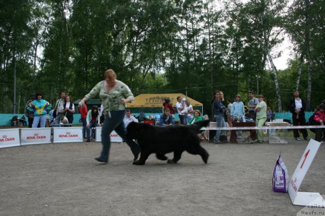 Фотография № 44682