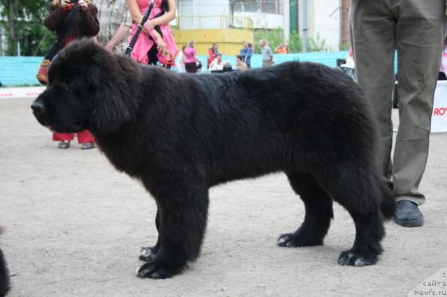 Фотография № 44695