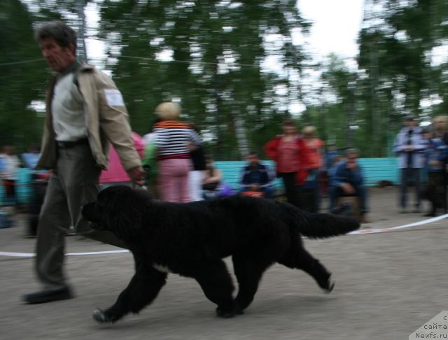 Фотография № 44696