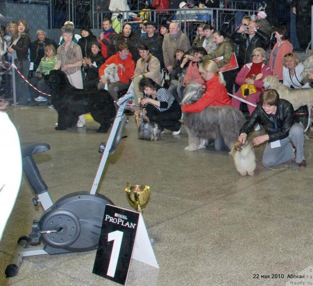 Фотография № 44712