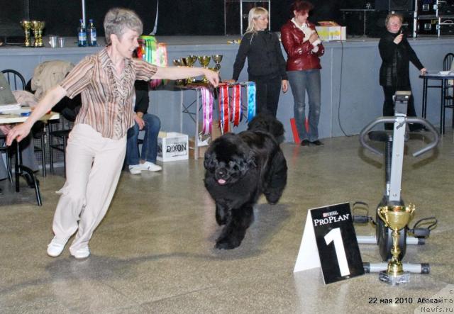 Фотография № 44713