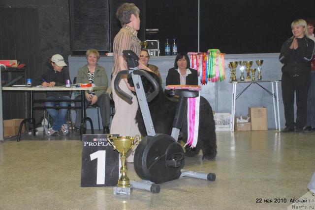 Фотография № 44714