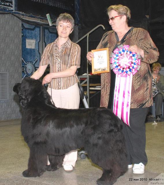 Фотография № 44715