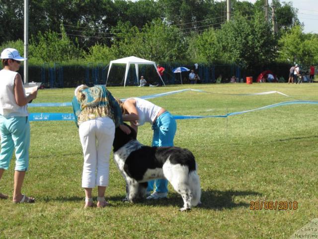 Фотография № 44722