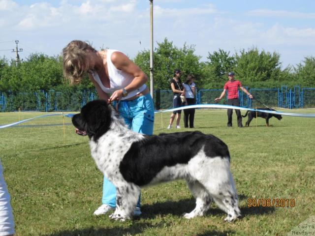 Фотография № 44723