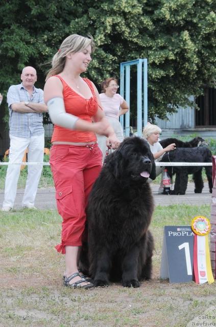 Фотография № 44727