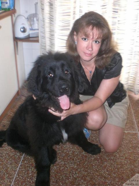 Фото: Irina Vershinina (Ирина Вершинина)