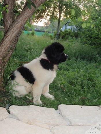 Фотография № 44760