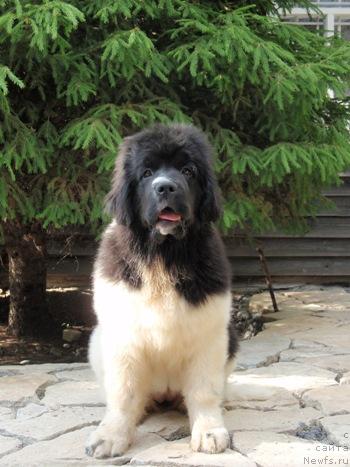 Фотография № 44761