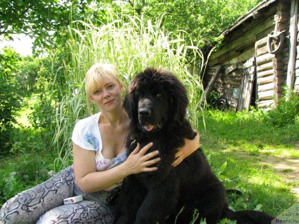 Фотография № 44795