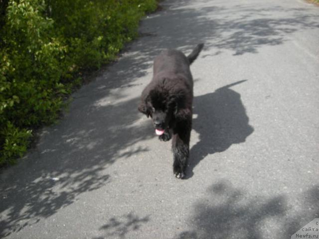 Фотография № 44800