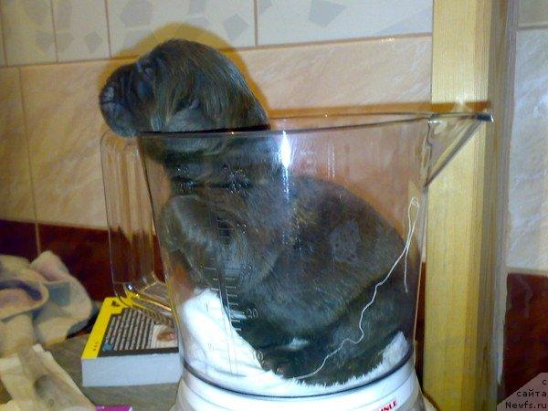 Фотография № 44808