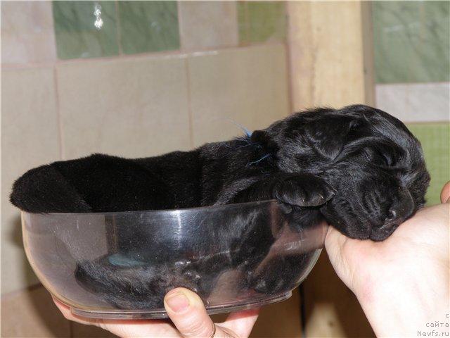 Фотография № 44818