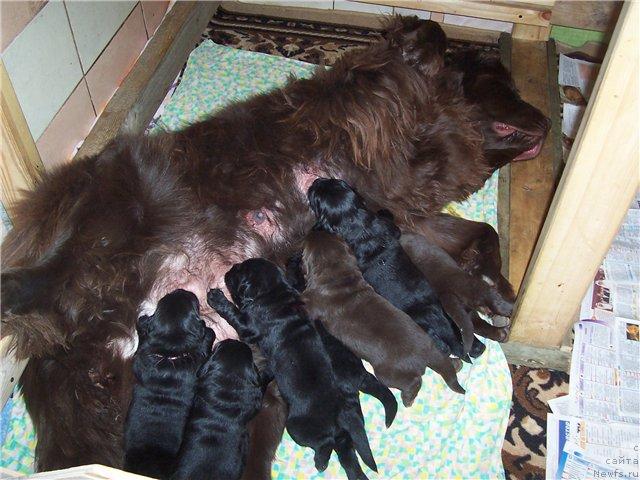 Фотография № 44820