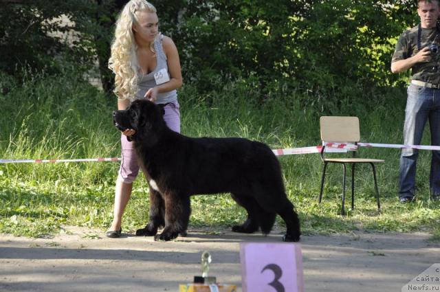 Фотография № 44826