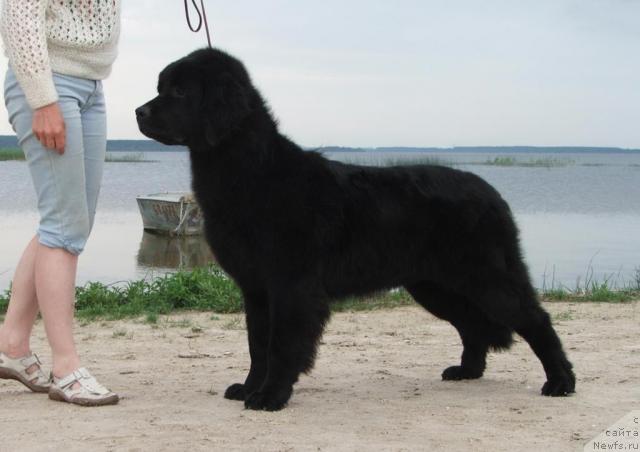 Фотография № 44877