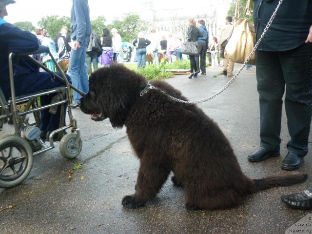 Фотография № 44878