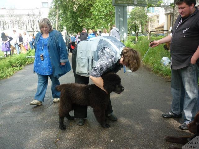 Фотография № 44879