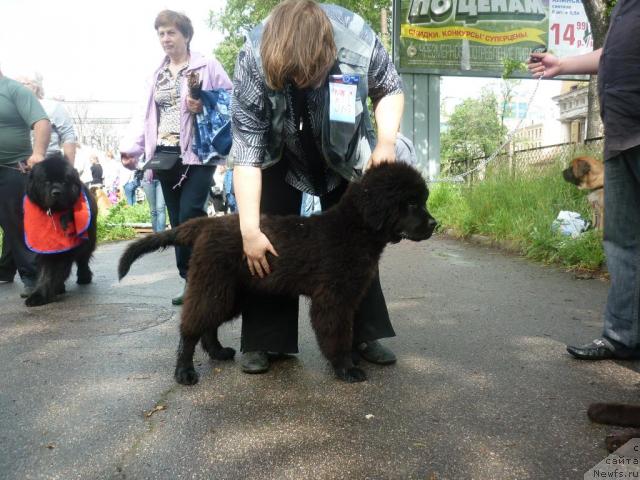 Фотография № 44881