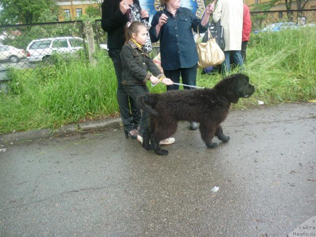 Фотография № 44883