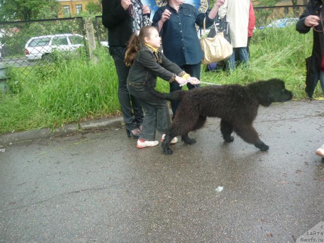 Фотография № 44884