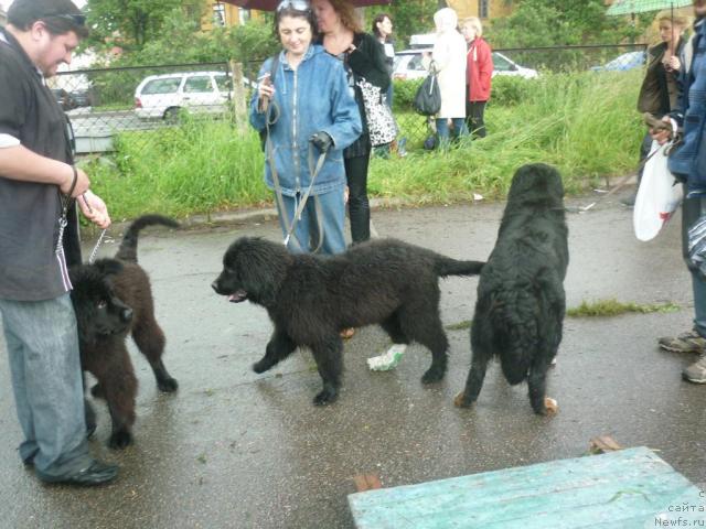 Фотография № 44886