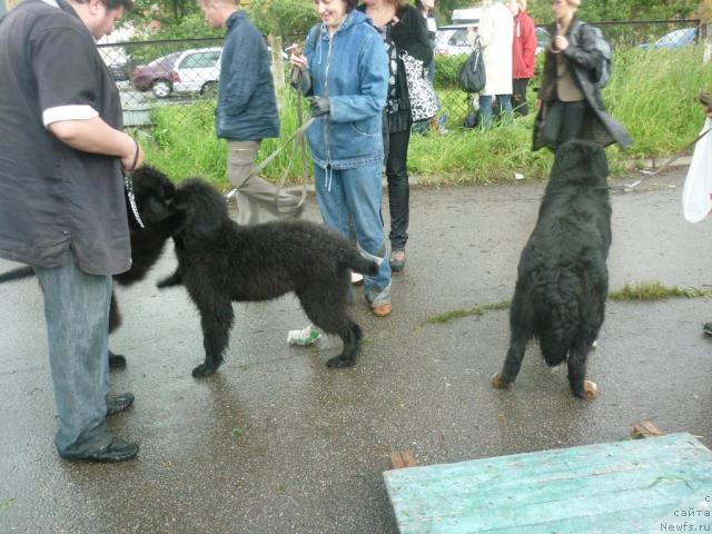 Фотография № 44888