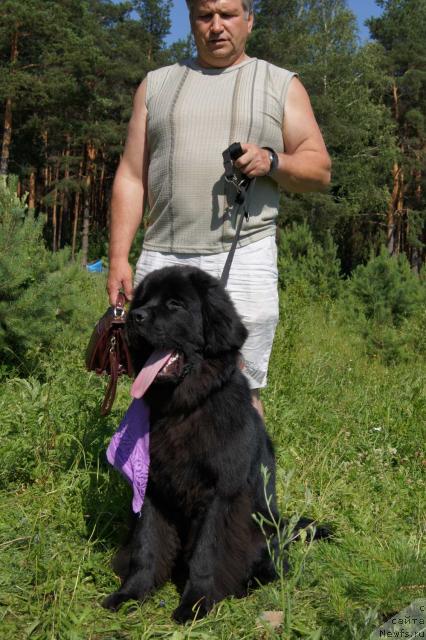 Фотография № 44889