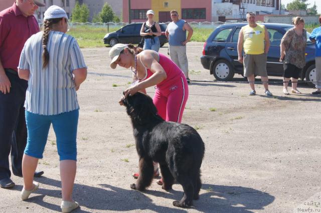 Фотография № 44890