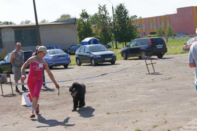 Фотография № 44891