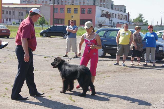 Фотография № 44892