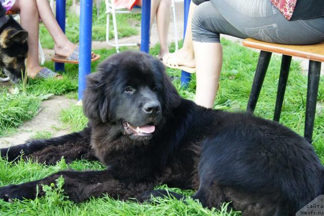 Фотография № 44894