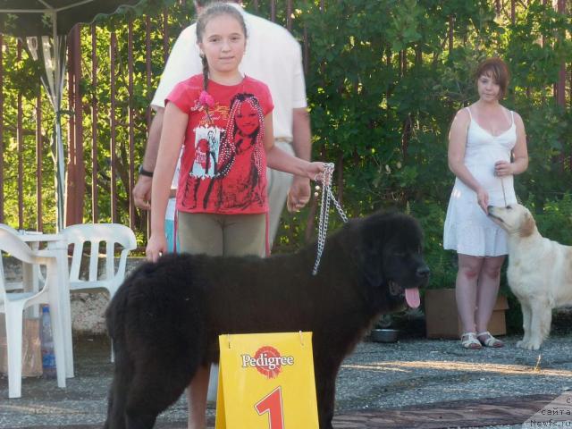 Фотография № 44946