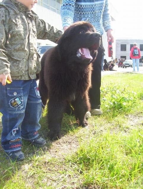 Фотография № 44951