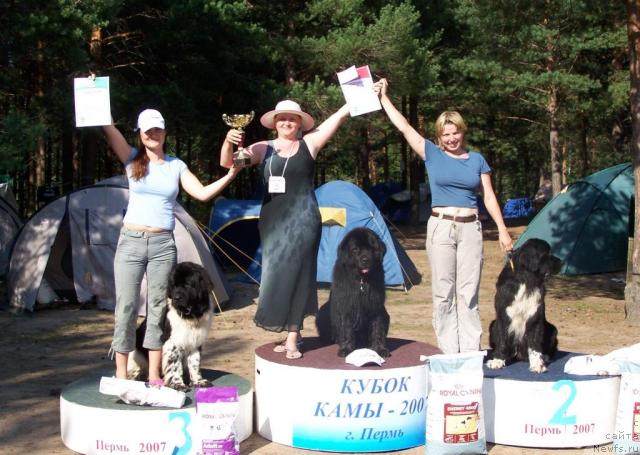 Фото: ньюфаундленд Akvanavt iz Tihogo Omuta (Акванавт из Тихого Омута), ньюфаундленд Super Bizon Argo (Супер Бизон Арго), ньюфаундленд Mag Ispolin Elana (Маг Исполин Елана), Tat'yana Abutova (Татьяна Абутова), Elena Zayceva (Zamyatina) (Елена Зайцева (Замятина)), Kseniya Novikova (Ксения Новикова)