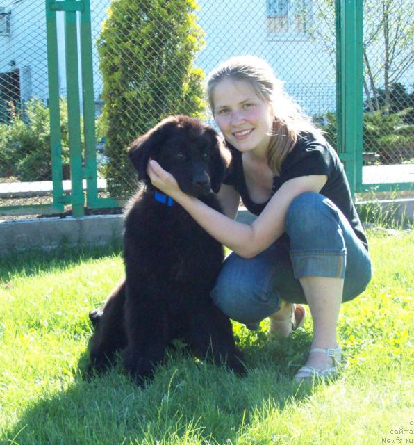 Фото: ньюфаундленд Samaya Lyubimaya (Самая Любимая), Надежда