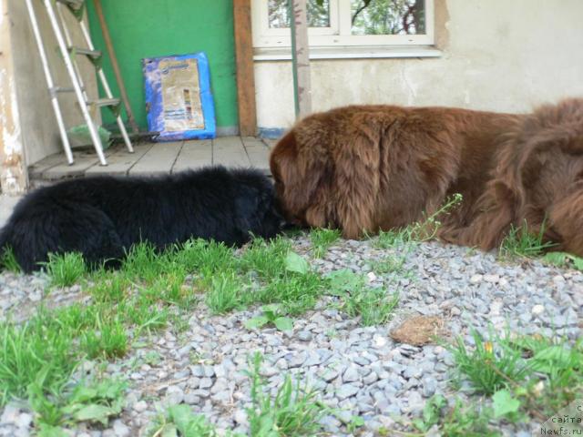 Фото: Леся и [d5357]