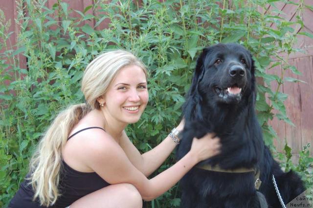 Фотография № 44991