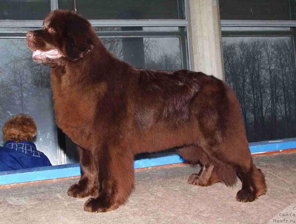 Фотография № 45